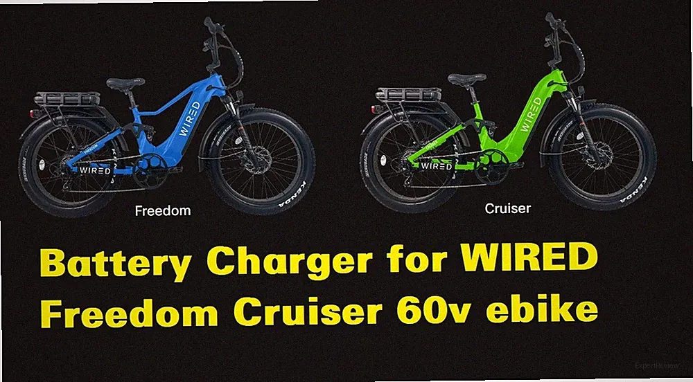 🔥power supply fast 5A charger for WIRED freedom Cruiser 60v electric bike