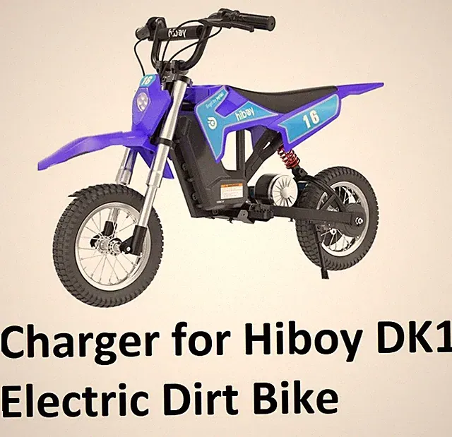🔥UL AC Adapter battery Charger for Hiboy DK1 kids electri dirt bike YT